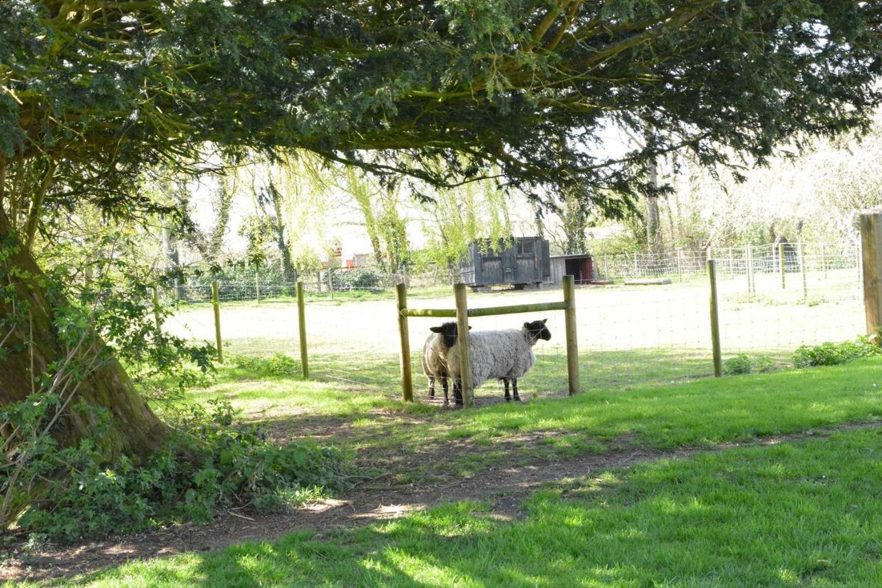 Yew Tree Farm Barn, Worlingworth Villa Kültér fotó
